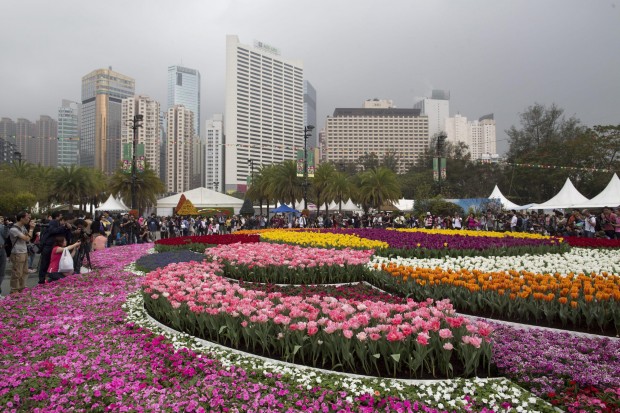 092317587-676d2662-51c2-41af-88d4-f1b7b894489a