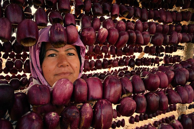 8_March_IWD_by_fotoizzet