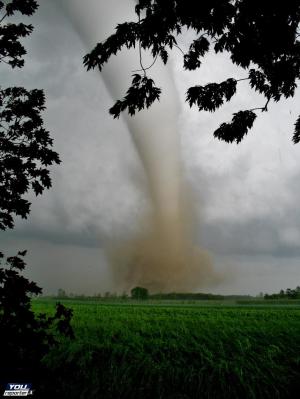 BJW8SpkCAAA6Ff-.jpg-large