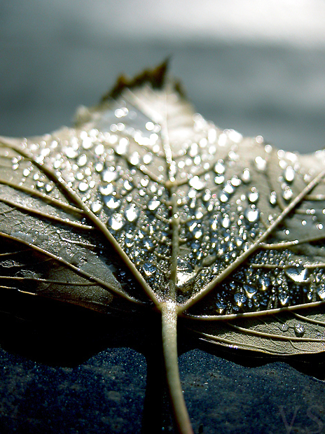 Schermata 2013-10-19 alle 13.23.54