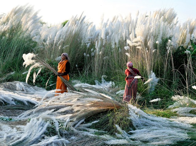 kash-harvest-india_72957_990x742