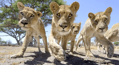 Schermata 2013-11-26 alle 15.12.10