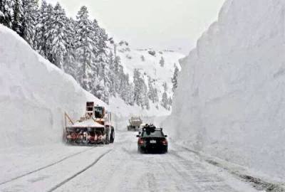 1625686_411969962270361_367095354_n