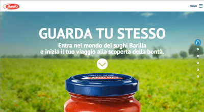 Voila_Capture 2014-03-29_11-23-01_AM