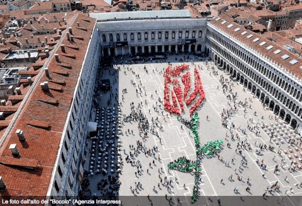 Voila_Capture 2014-04-26_12-04-26_PM