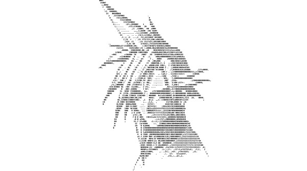 1399655279__0008_Small-ascii-art-600x335