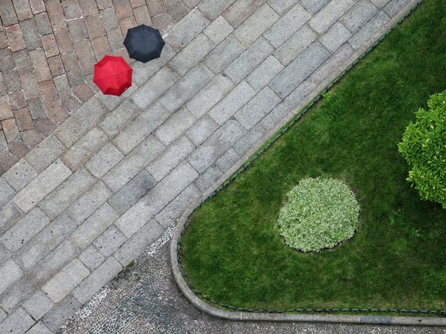 umbrellas-grass-geometry-aerial_79798_990x742