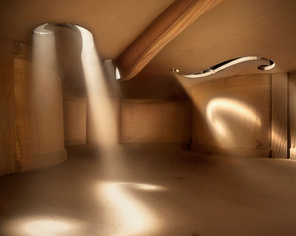 foto-strumenti-musicali-dall-interno-filarmonica-berlino