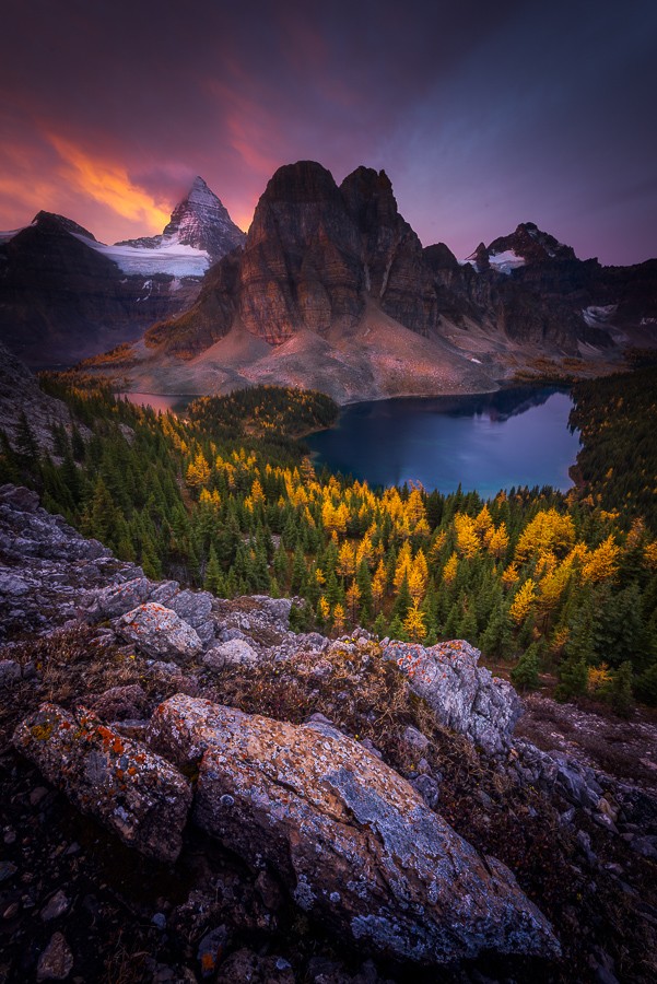 Protected by International Copyright