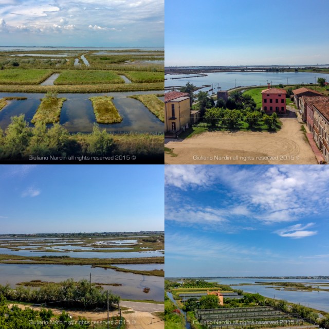 IMG_0020w_Fotor_Collage