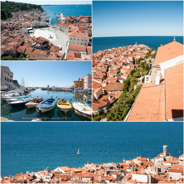 _DSC4276w_Fotor_Collage